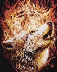 Feuer Wolf